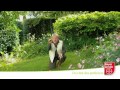Bayer Jardin TV - Désherber le gazon