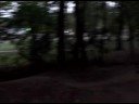 foxglove park