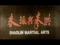 shaolin martial arts