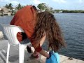 merideth tries to catch live shrimp