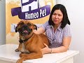 Real H - Homeo Pet, depoimento da Sandra (Neno).
