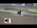 Dutch Richman