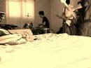 invertebrados - hipatia