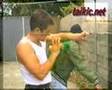 Ver Video