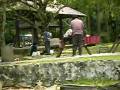 videos de Hutan Lipur Kanching , Rawang