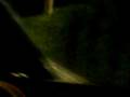 videos de Ooops at trash can=/