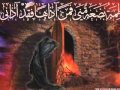 Wali Asar 2012 Ya BiBi Ya Zahra.mp4