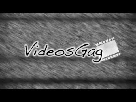 videos gratis de humor