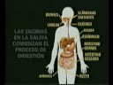 PREVENCIO 1