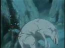 Wolf\ Wolf\