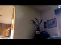 videos de thar