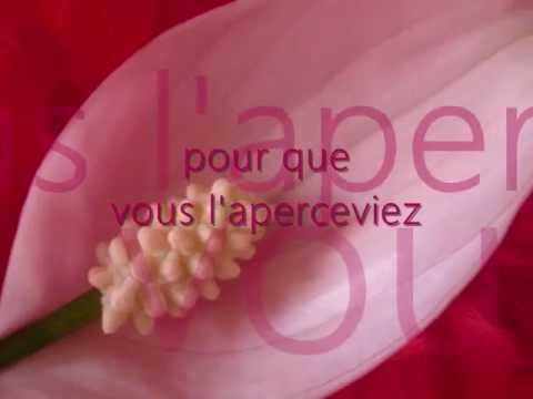 Image de prévisualisation YouTube