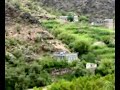 Hateeb... The Green Land ???? ????? ???????