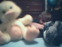 Fallin: Little Cub & Duckie