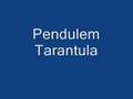 pendulem tarantula
