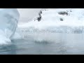 Iceberg Play Antarctica