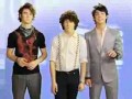 the jonas brothers