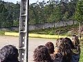 Golo Do S.Pedro da Cova