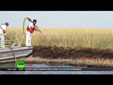 how to clean up bp oil spill