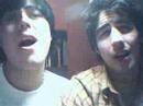 ANGELVIDEOS: In the Jungle ANGELVIDEOS: In the Jungle
