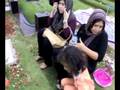 Hari Raya Idul Fitri 1429H nyekar ke tanah kusir 2