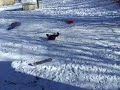 100_4718.mov