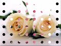 Click here to watch this video Rosas cor de rosa - Ana Moura.wmv