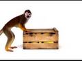 Telus number portability ad