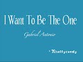 Gabriel Antonio- I want to be the one [ lyrics ]