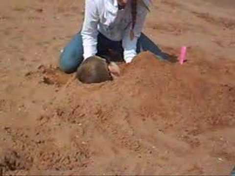 Tansy buries Joe and turns him into ...