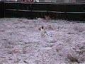 Dec. 02, 2009, Snow in McKinney, Texas