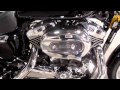 2009 H-D® XL 1200C Sportster® 1200 Custom