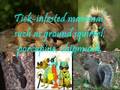cardiovascular & lymphatic infections part2