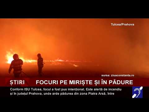 Incendii pe miriște și în pădure