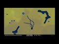 V�deo PixelJunk Eden - Garden 1 Speedrun - Full Clear All Spectra