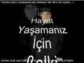 KIZILTEPE NAFİ REİS
