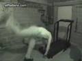 caida en caminadora