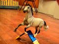 The Young Ones{Breyer Style} 600-700+ Subscribers