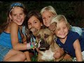 save a pit bull save a pit bull