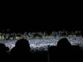 videos de Moorpark night batte Cannons