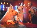 COMERCIALES CHISTOSOS ESTUPIDECES