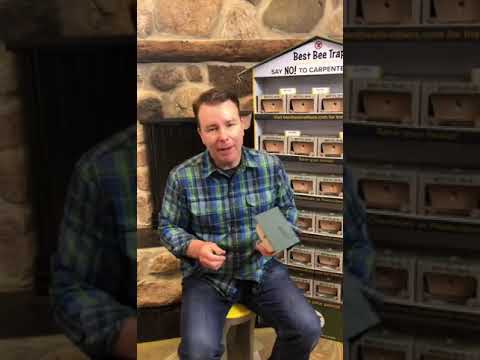 image preview of video showcasing Carpenter Bee Bait Questions Answered