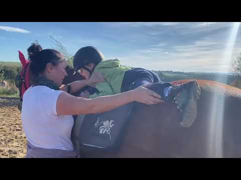 Výlet ke koním – FOR HELP