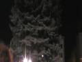 Der Weihnachtsbaum kommt! Halle/Saale in HD Der Weihnachtsbaum kommt! Halle/Saale in HD