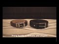 prong buckle