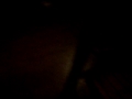 MOMENTO PETARDO CASA LEIRE
