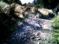 Black Run