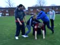 Atemting a Pyramind Atemting a Pyramind