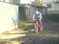 sari cu bitza