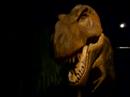 Tyrannosaurus Rex